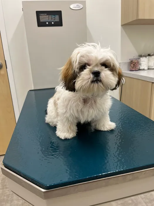 Thrive Pet Healthcare - Falcon 4