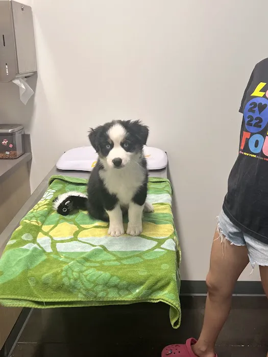 Thrive Pet Healthcare - Falcon 1