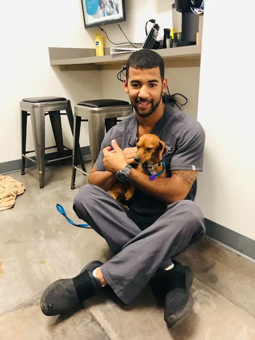 Thrive Pet Healthcare - Falcon 2