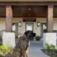 Texas Republic Veterinary Hospital ico