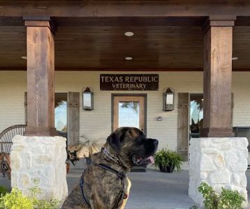 Texas Republic Veterinary Hospital