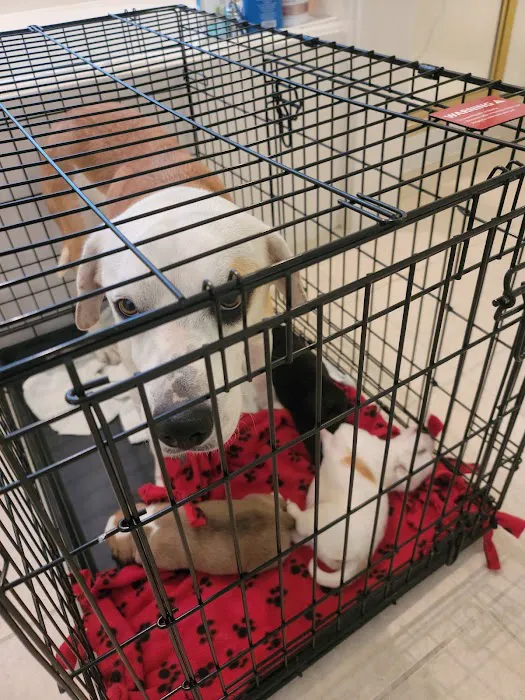 Texas Republic Veterinary Hospital 12