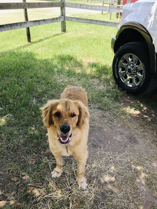 Katy Veterinary Clinic 5