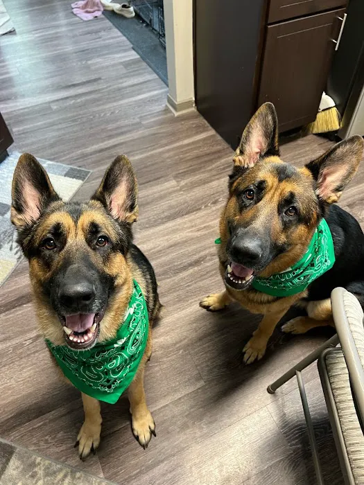 Katy Veterinary Clinic 10