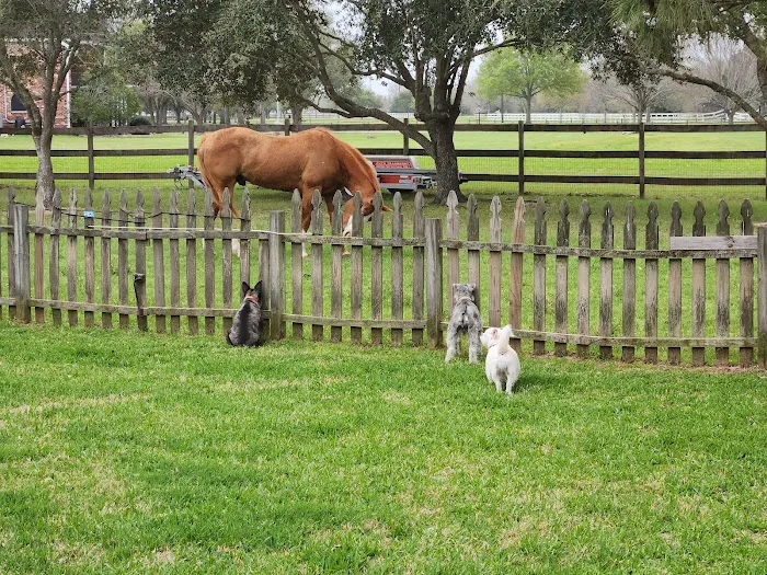 Katy Veterinary Clinic 7