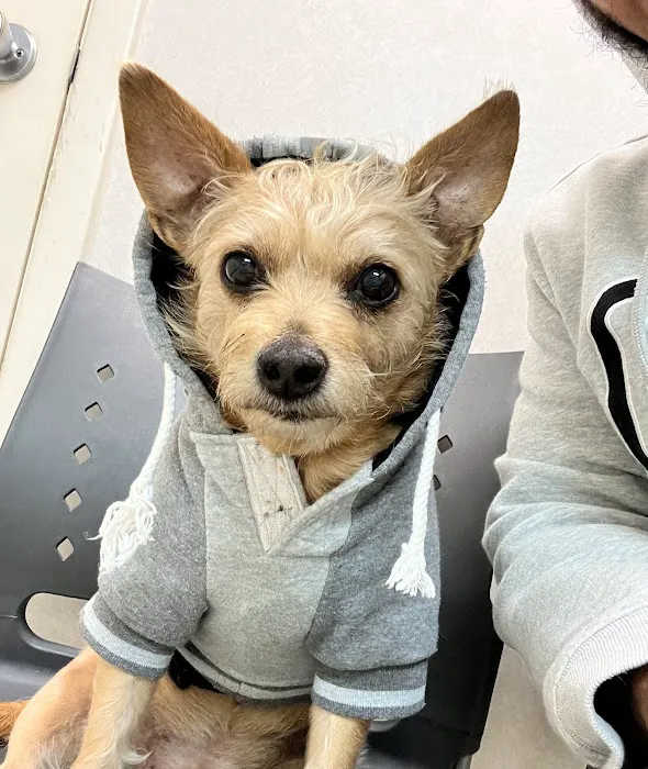 Katy Veterinary Clinic 9