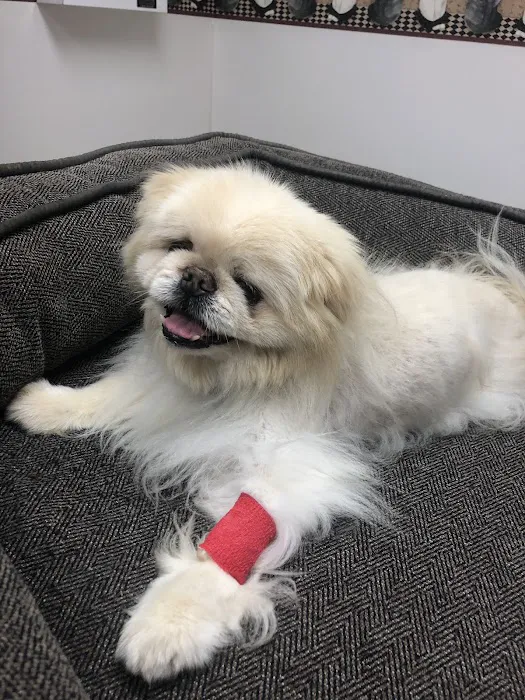 Katy Veterinary Clinic 1