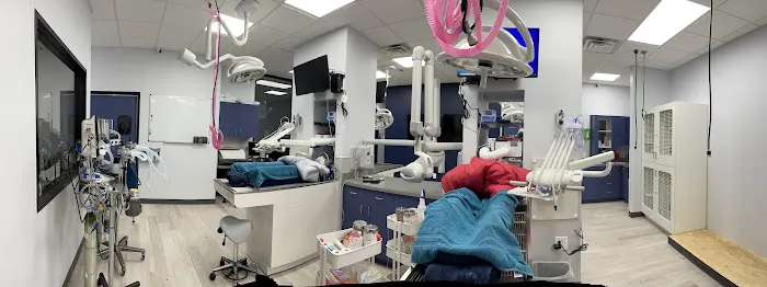 Veterinary Dentistry Specialists 8