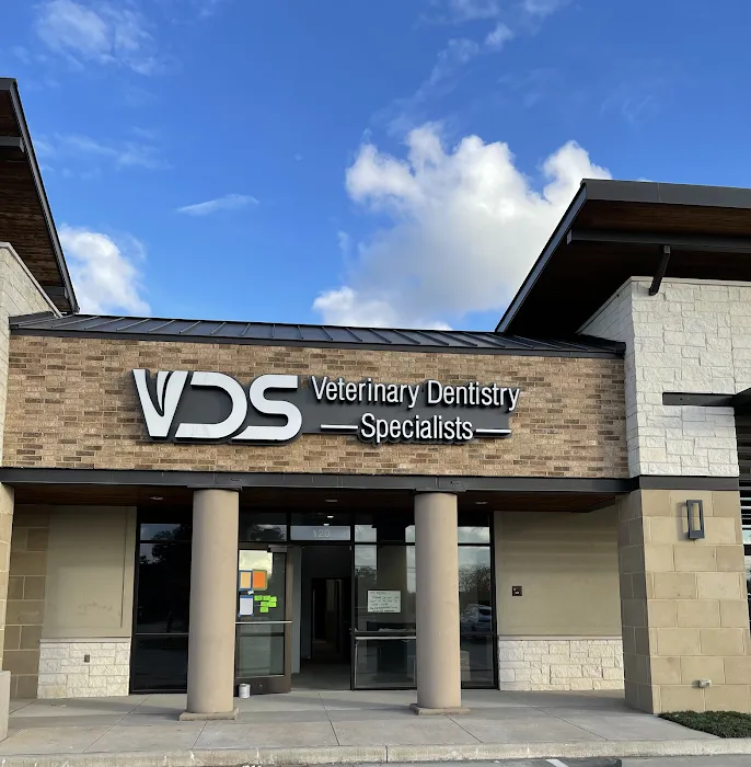 Veterinary Dentistry Specialists 9