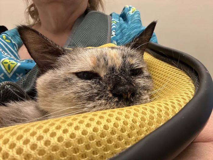 Circle B Veterinary Hospital 4