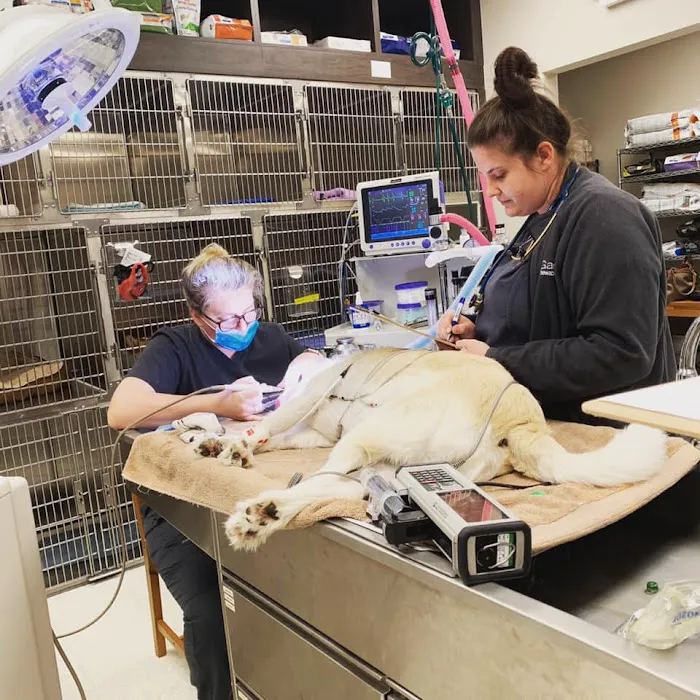 Circle B Veterinary Hospital 8