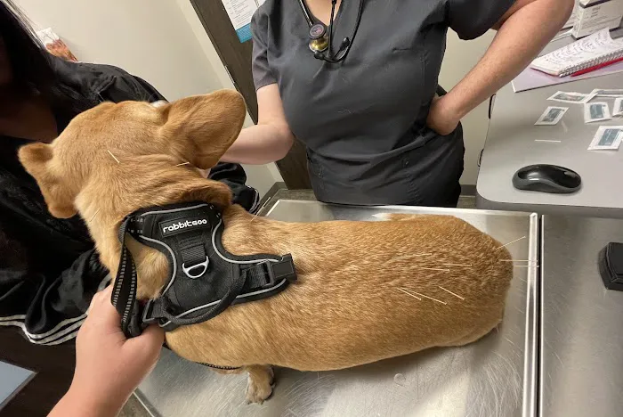 Circle B Veterinary Hospital 7