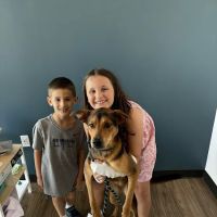 Blue Bear Veterinary Clinic ico