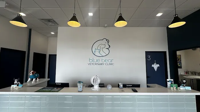 Blue Bear Veterinary Clinic 3