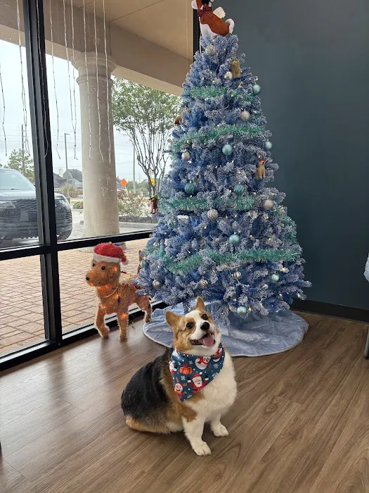 Blue Bear Veterinary Clinic 8