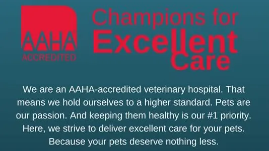Animal Hospital Highway 6 9