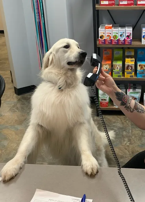 First Colony Veterinary Clinic 9