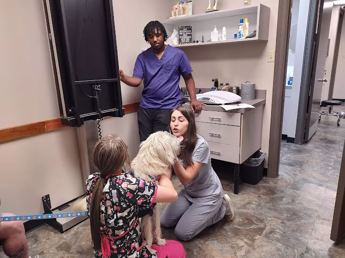 First Colony Veterinary Clinic 5