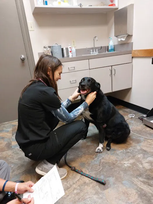 First Colony Veterinary Clinic 10