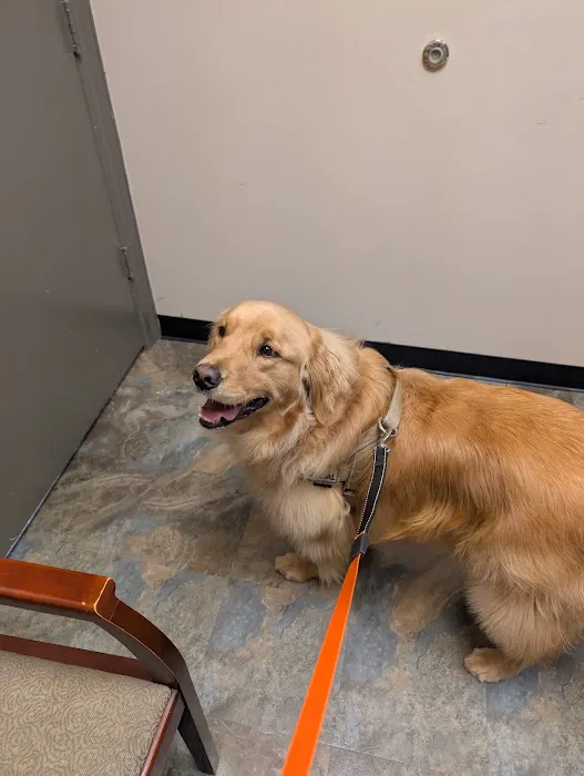 First Colony Veterinary Clinic 4