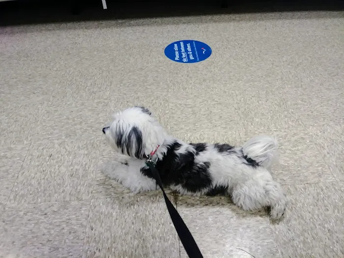 Banfield Pet Hospital 6