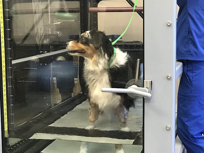 Lake Olympia Animal Hospital 6