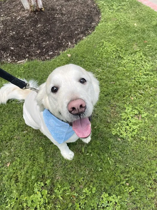 Lake Olympia Animal Hospital 10