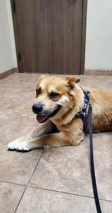 Lake Olympia Animal Hospital 5