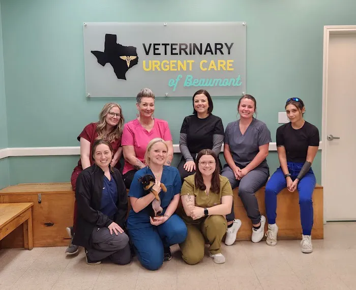 Veterinary Urgent Care of Beaumont 1