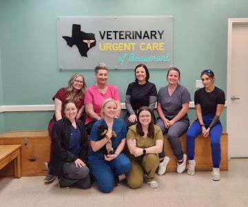 Veterinary Urgent Care of Beaumont