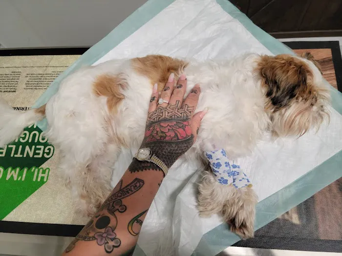 Southeast Texas Animal Emergency Clinic 9