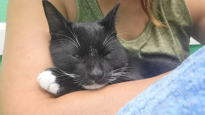 Southeast Texas Animal Emergency Clinic 2