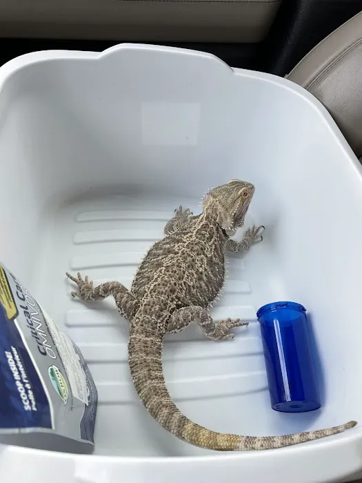 Animal Hospital of Mid County 1
