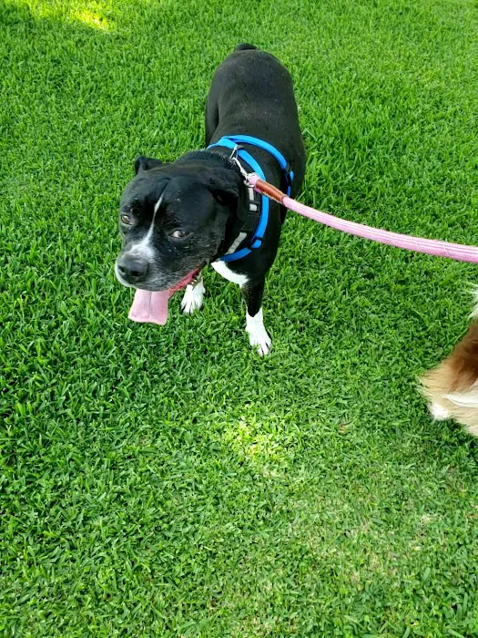 Animal Hospital of Mid County 9