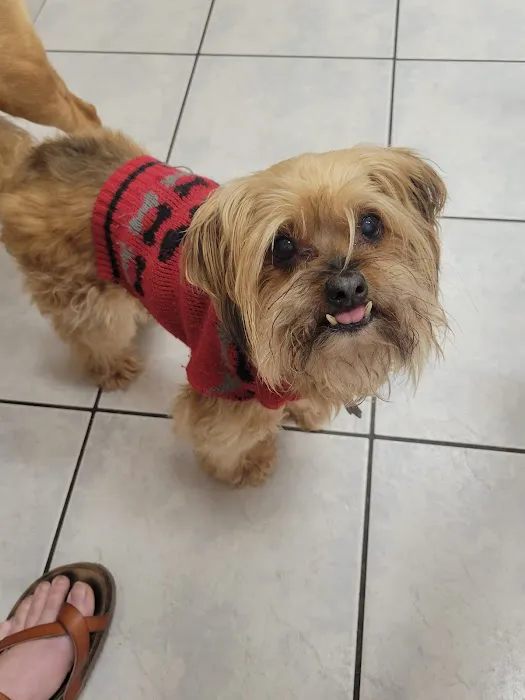 Animal Hospital of Mid County 8