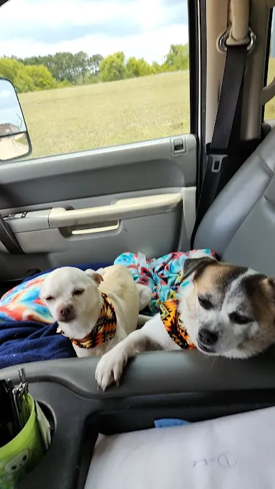 Animal Hospital of Mid County 5