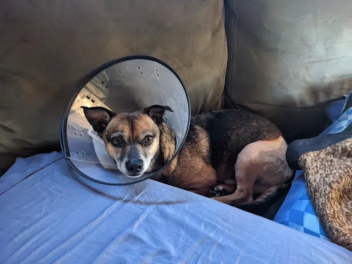 Neighborhood Veterinary Centers 1