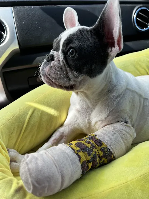 Neighborhood Veterinary Centers 8