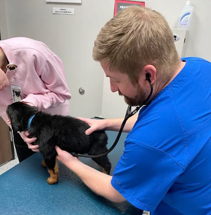 Neighborhood Veterinary Centers 9