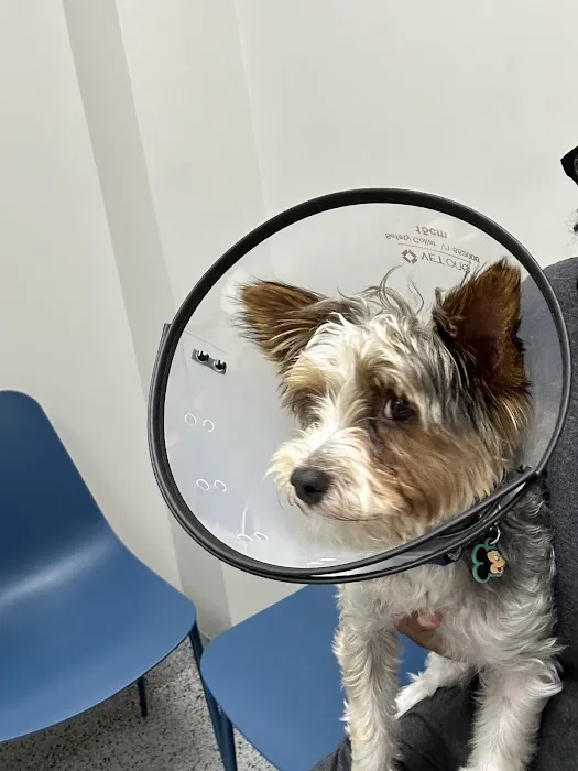Neighborhood Veterinary Centers 5