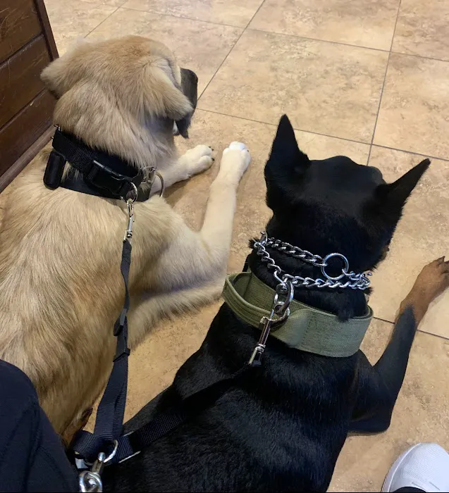 Twin City Veterinary Clinic 2