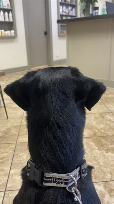 Twin City Veterinary Clinic 1