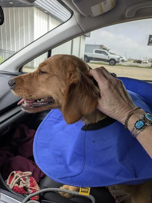 Twin City Veterinary Clinic 7