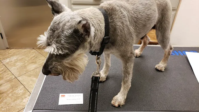 Twin City Veterinary Clinic 3