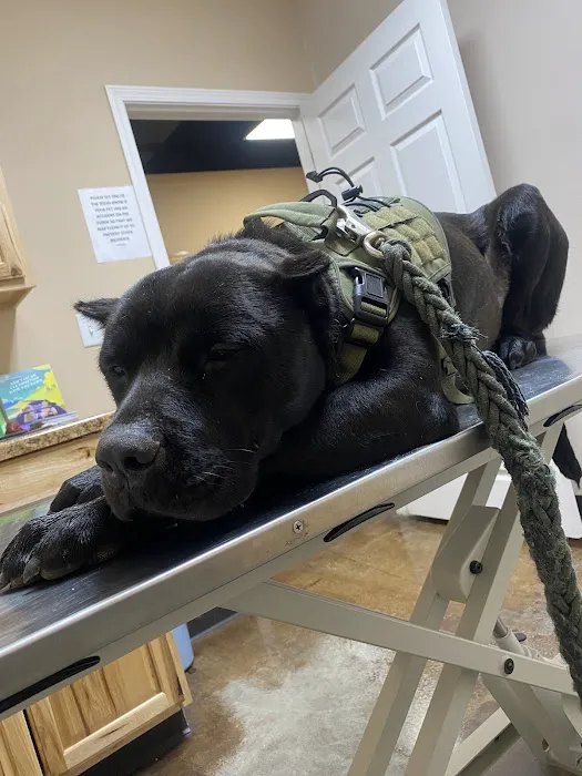 Eastex Veterinary Clinic 1