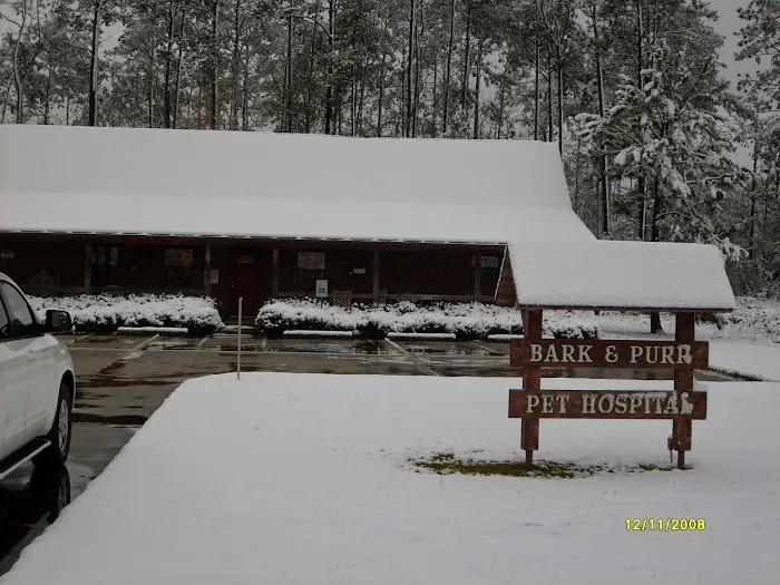 Bark & Purr Veterinary Clinic 4