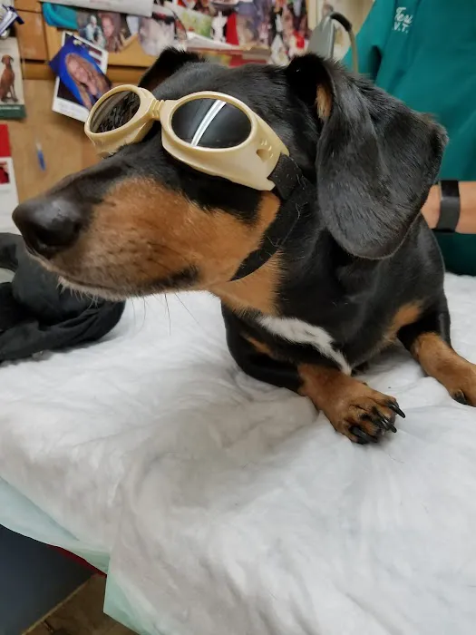 Countryside Veterinary Clinic 7