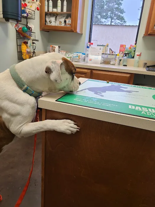 Main Street Veterinary Clinic 2