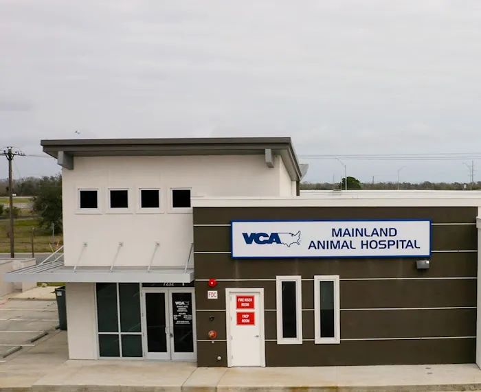VCA Mainland Animal Hospital 10