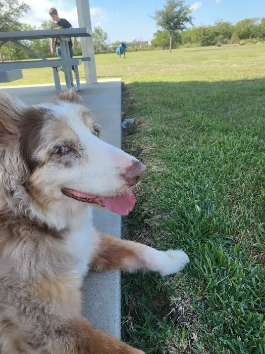 Animal Alliance of Galveston County 7